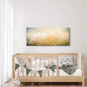 Obraz - Pole na jeseň (120x50 cm)
