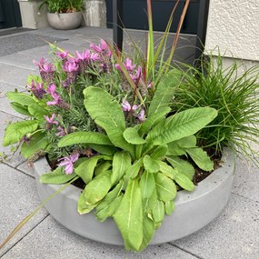 Miska na dekorácie CIRCULO, sklolaminát, Ø 40 cm, sivá