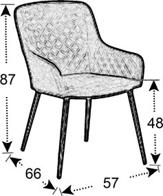 Doppler LIVORNO PARIS sivá, 8+1