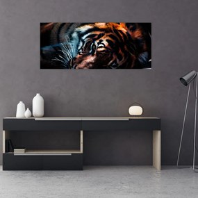 Obraz ležiaceho tigra (120x50 cm)