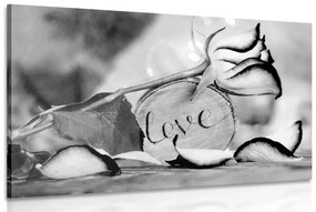 Obraz romantické vyznanie v čiernobielom prevedení Love - 60x40