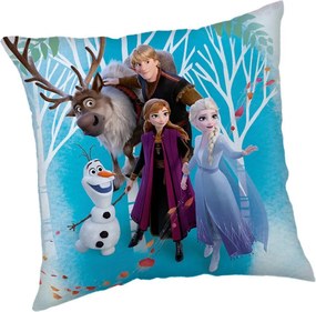 XXXLutz DEKORAČNÝ VANKÚŠ 40/40 cm - Textil do domácnosti - 003580054801