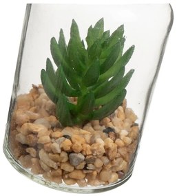 Umelé rastliny v súprave 4 ks (výška 12 cm) Cactus – Casa Selección