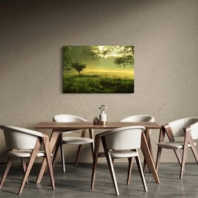 Obraz - Prebúdzajúci sa les (90x60 cm)