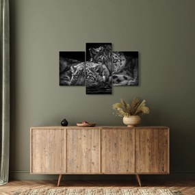 Obraz - Odpočívajúci gepardy (90x60 cm)
