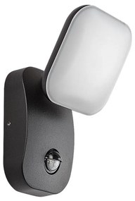 Rabalux 77058-LED Vonkajšie nástenné svietidlo so senzorom ODIEL LED/12W/230V IP44