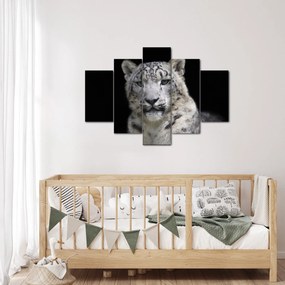 Obraz - Leopard snežný (150x105 cm)