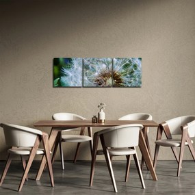 Obraz odkvitnutej púpavy (s hodinami) (90x30 cm)