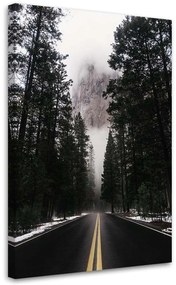 Gario Obraz na plátne Cesta v hmlistom lese - Nikita Abakumov Rozmery: 40 x 60 cm