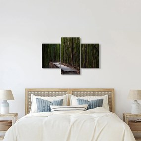 Obraz - Medzi bambusy (90x60 cm)