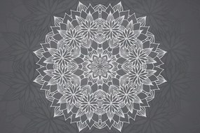 Samolepiaca tapeta Mandala s jarným motívom - 150x100