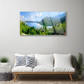Obraz na akrylátovom skle Les jazero hory príroda 100x50 cm