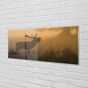 Obraz na akrylátovom skle Jeleň sunrise 120x60 cm