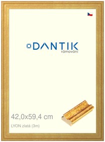DANTIK rám na obraz 42x59,4 | LYON zlatá (Plexi Čiré)