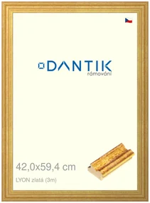 DANTIK rám na obraz 42x59,4 | LYON zlatá (Plexi Čiré)