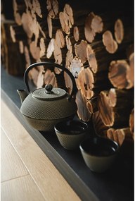 Sivá kanvica na čaj z liatiny 1,1 l Jang – Bredemeijer