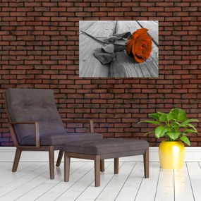 Obraz - Oranžová ruža (70x50 cm)