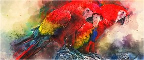 Obraz červených papagájov ara (120x50 cm)