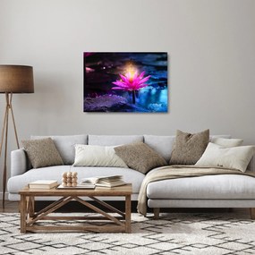Sklenený obraz lekna na vode (70x50 cm)