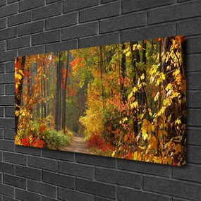 Obraz Canvas Les príroda jeseň 100x50 cm