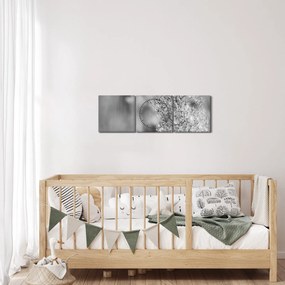 Obraz - Boho pampas grass (s hodinami) (90x30 cm)