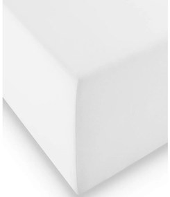 XXXLutz POSTEĽNÁ PLACHTA, biela, 200/200 cm Fleuresse - Obliečky & plachty - 003273010001