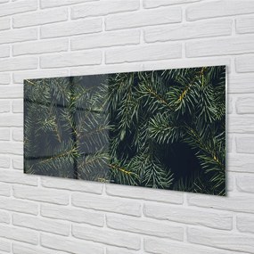 Obraz na akrylátovom skle Vianočný strom vetvičky 100x50 cm
