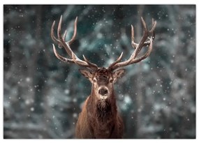 Obraz - jeleň v zime