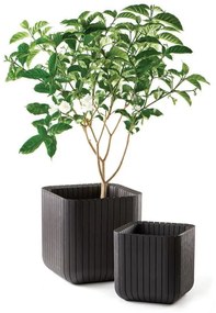 Kvetináč CUBE PLANTER L - antracit