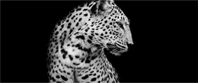 Obraz - Leopard (120x50 cm)
