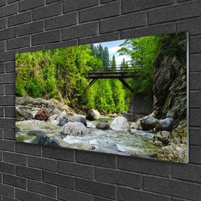 Skleneny obraz Drevený most v lese 125x50 cm