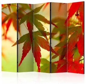 Paraván - Colourful leaves II [Room Dividers]