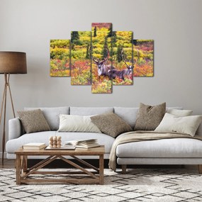 Obraz - Karibu na Aljaške (150x105 cm)