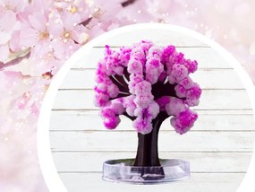 Zaparkorun Magický strom Sakura