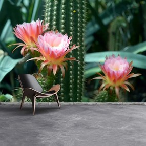 Fototapeta Vliesová Kaktusový kvet 312x219 cm