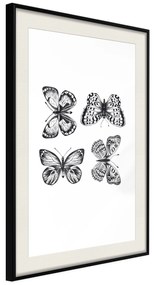Artgeist Plagát - Four Butterflies [Poster] Veľkosť: 30x45, Verzia: Čierny rám s passe-partout