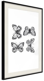 Artgeist Plagát - Four Butterflies [Poster] Veľkosť: 40x60, Verzia: Čierny rám s passe-partout