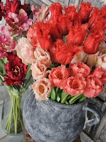 Kytica 5ks ružových realistických tulipánov Tulips Papagayo - 39 cm
