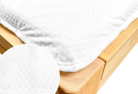 Áčko a.s. Ružomberok  Nepremokavý chránič na matrac Botanica Tencel Smartcell®, Vyberte rozmer 60 x 120 cm