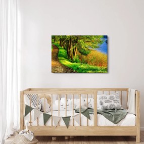 Obraz chodníky pozdĺž vody (90x60 cm)