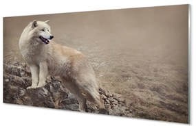 Nástenný panel  vlk hory 100x50 cm