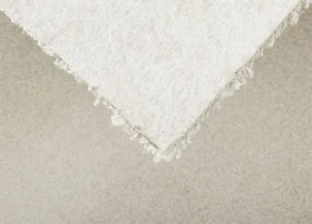 Koberce Breno Metrážny koberec NOBILIS 31, šíře role 400 cm, béžová, biela