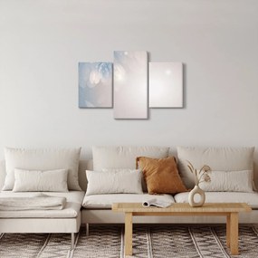 Obraz - Zasnežené kvety (90x60 cm)