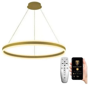 NEDES LED Stmievateľný luster na lanku LED/110W/230V 3000-6500K + diaľkové ovládanie ND3572