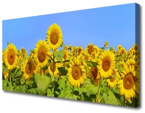 Obraz na plátne Slnečnica kvet rastlina 100x50 cm