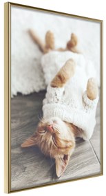 Artgeist Plagát - Lazy Cat [Poster] Veľkosť: 30x45, Verzia: Zlatý rám