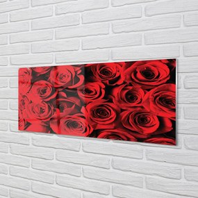 Obraz plexi Ruže 120x60 cm