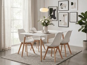 Jedálenský set 1 + 4, biely stôl ADRIA 120x80 cm + biela stolička KITO