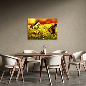 Sklenený obraz motýľov (70x50 cm)