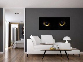 Obraz - Mačacie oči (120x50 cm)